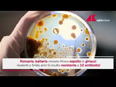 Romania, trovato in una grotta batterio di 5mila anni fa