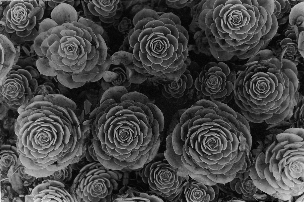 Explore Talks: Digital fabrication & 3D Printing