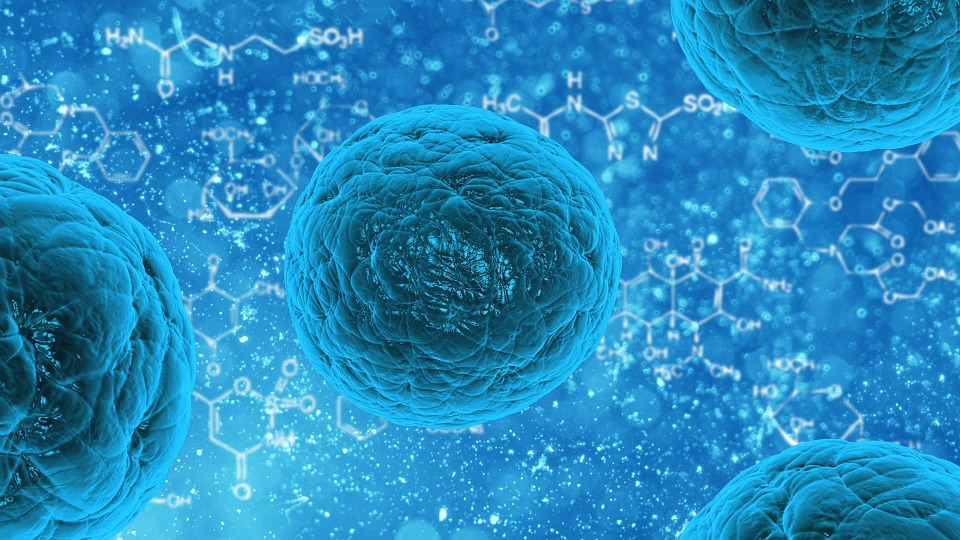 Biotech, nasce Claris Ventures e investe (con altri) in Kither Biotech
