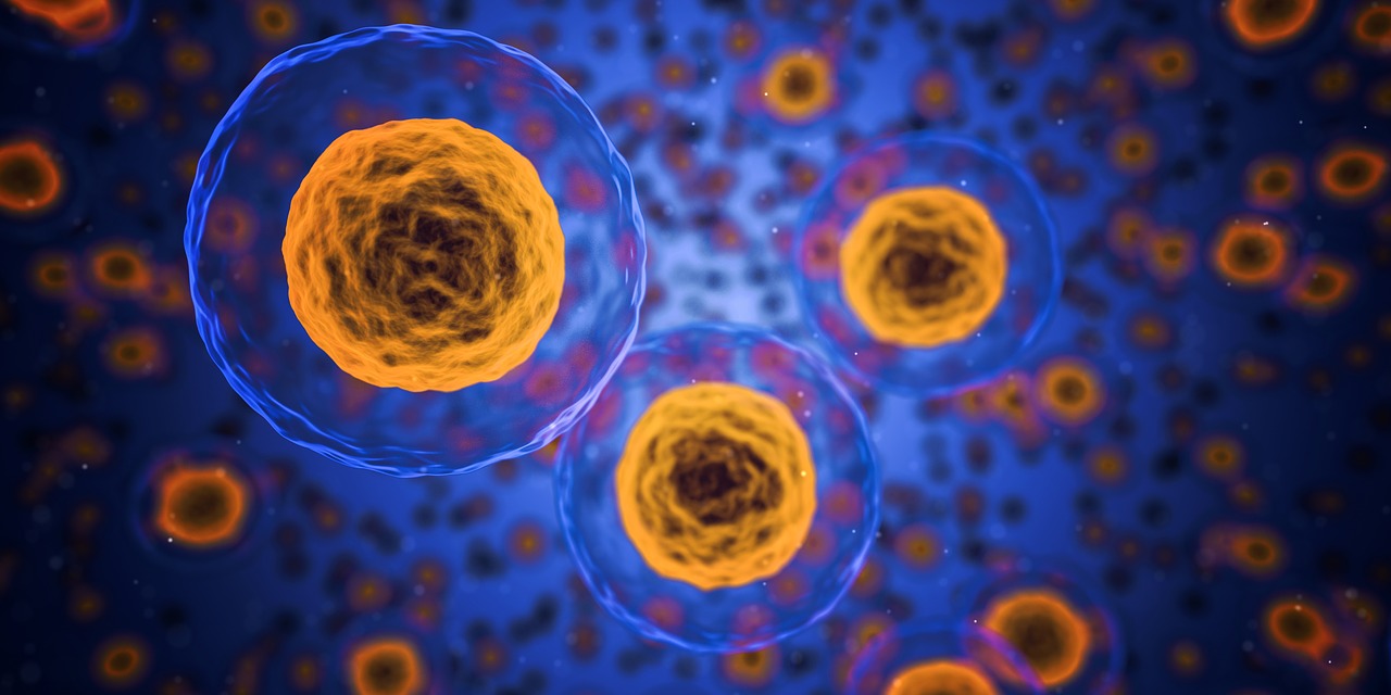 Cosa fa CellPly, startup disruptive nella cura del cancro