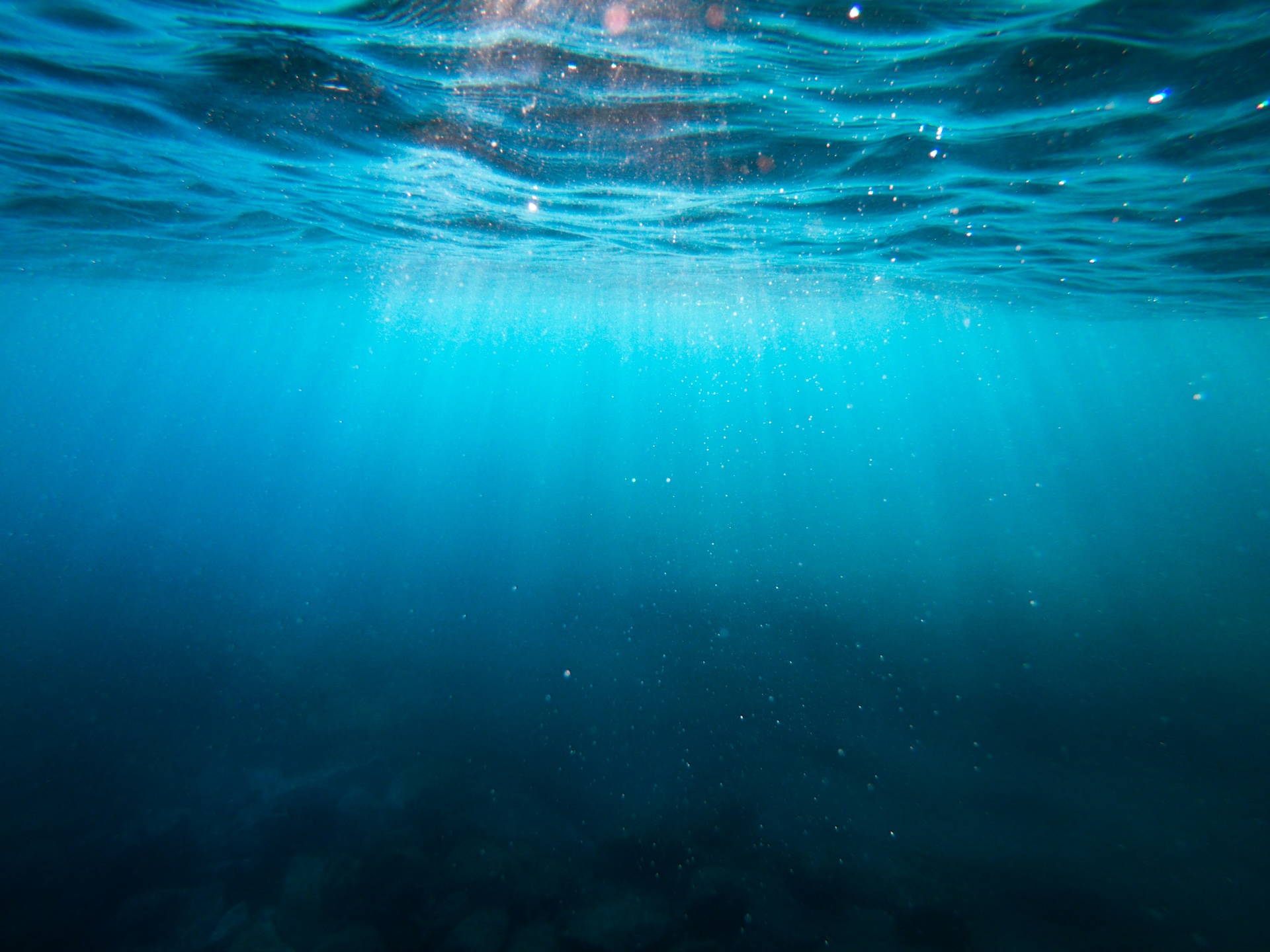 Lo stoccaggio della CO2 negli oceani, il ruolo delle startup