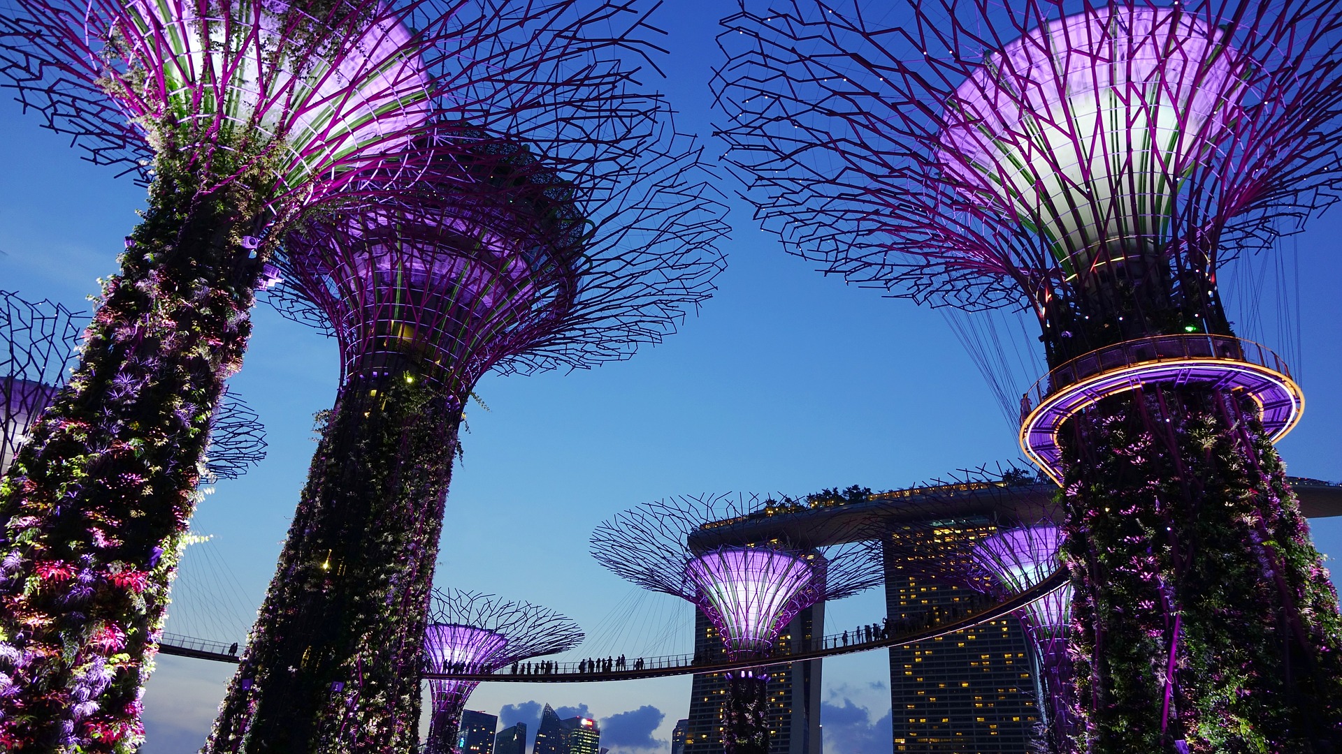 Singapore, nasce l’Italian innovation network