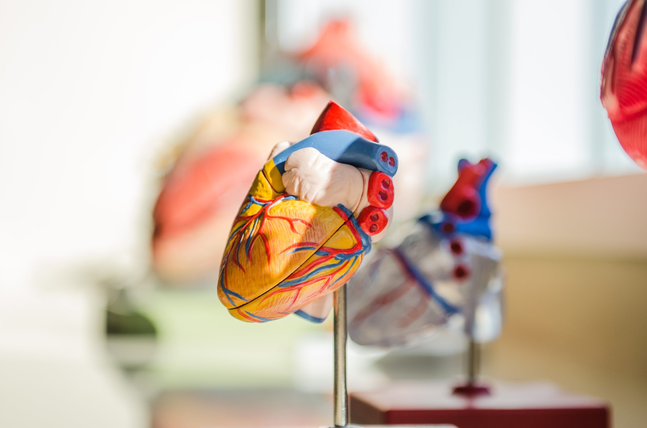 AorticLab raccoglie 13 milioni di € e conclude la prima sperimentazione