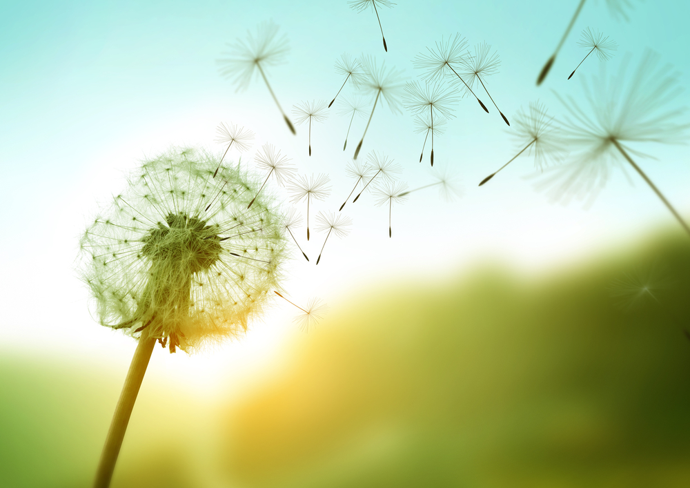 Comunicazione, come la vede la startup ToEffect