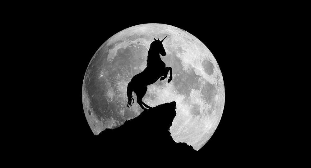 Gli Unicorni italiani che fanno guadagnare VC stranieri