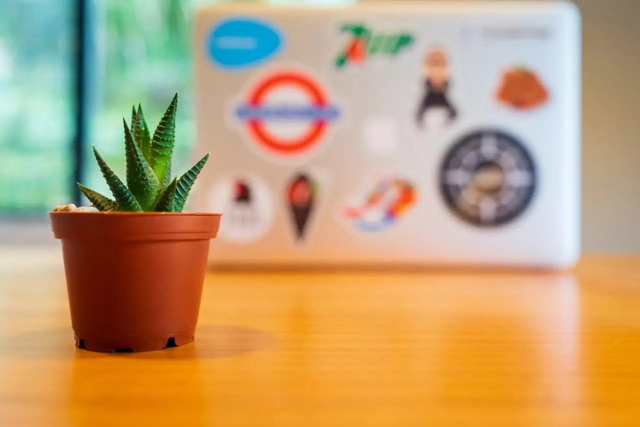 Start-up valuation: the most commonly used valuation models
