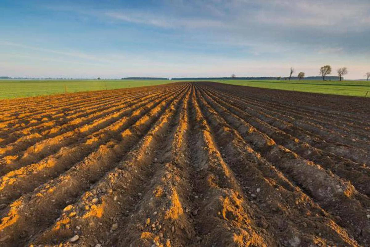 Ismea, riparte ‘Generazione Terra’, 120 mln per giovani agricoltori nel 2026