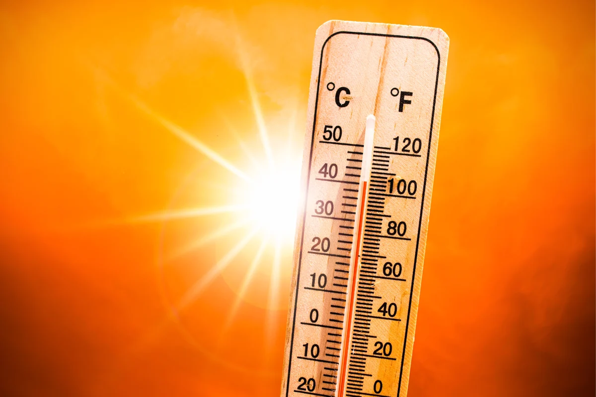 Caldo, l’avvertimento di Pregliasco: “38°C in molte città, ma il vero nemico è l’umidità”