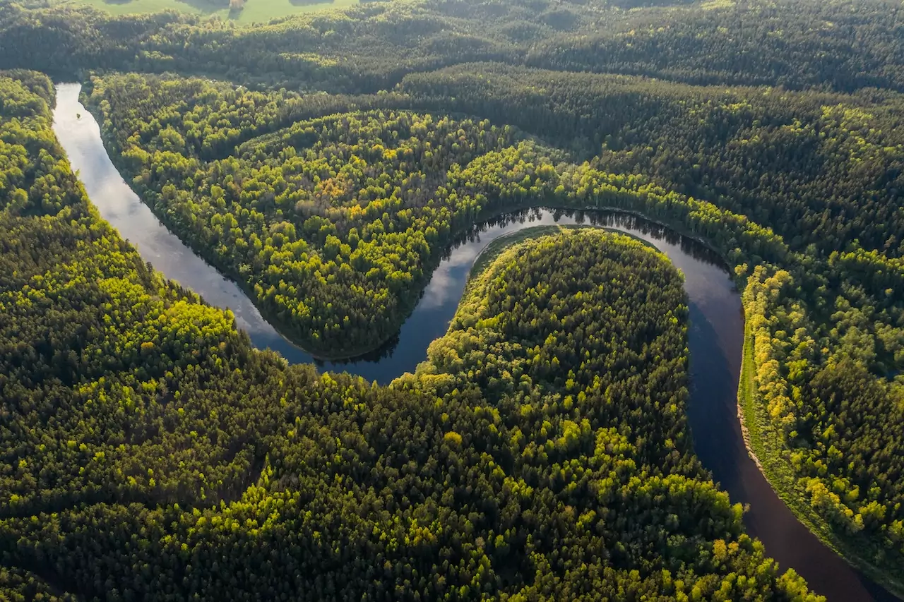 Amazzonia-tech, il verticale di South Summit su clima e bioeconomy