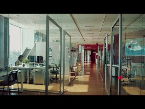 Imprese: bene 2025 per Icam Cioccolato, +35% su 2024. Ora si amplia e guarda Oltreoceano