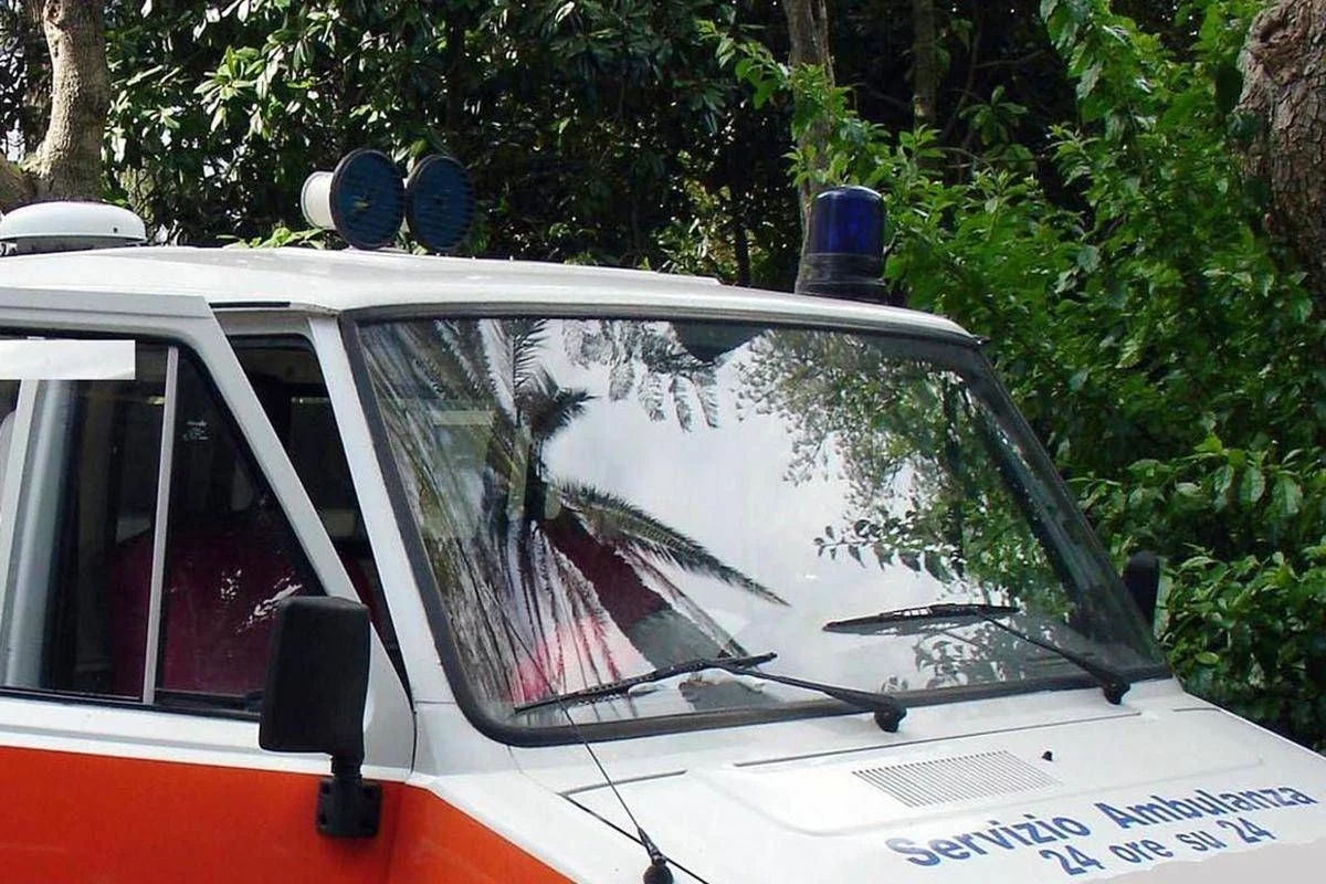 Colpito da un ramo mentre taglia albero, morto 48enne nel Bresciano