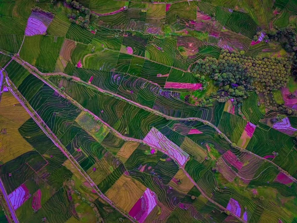 Agritech e dual use, difendere un campo di grano come fosse un confine