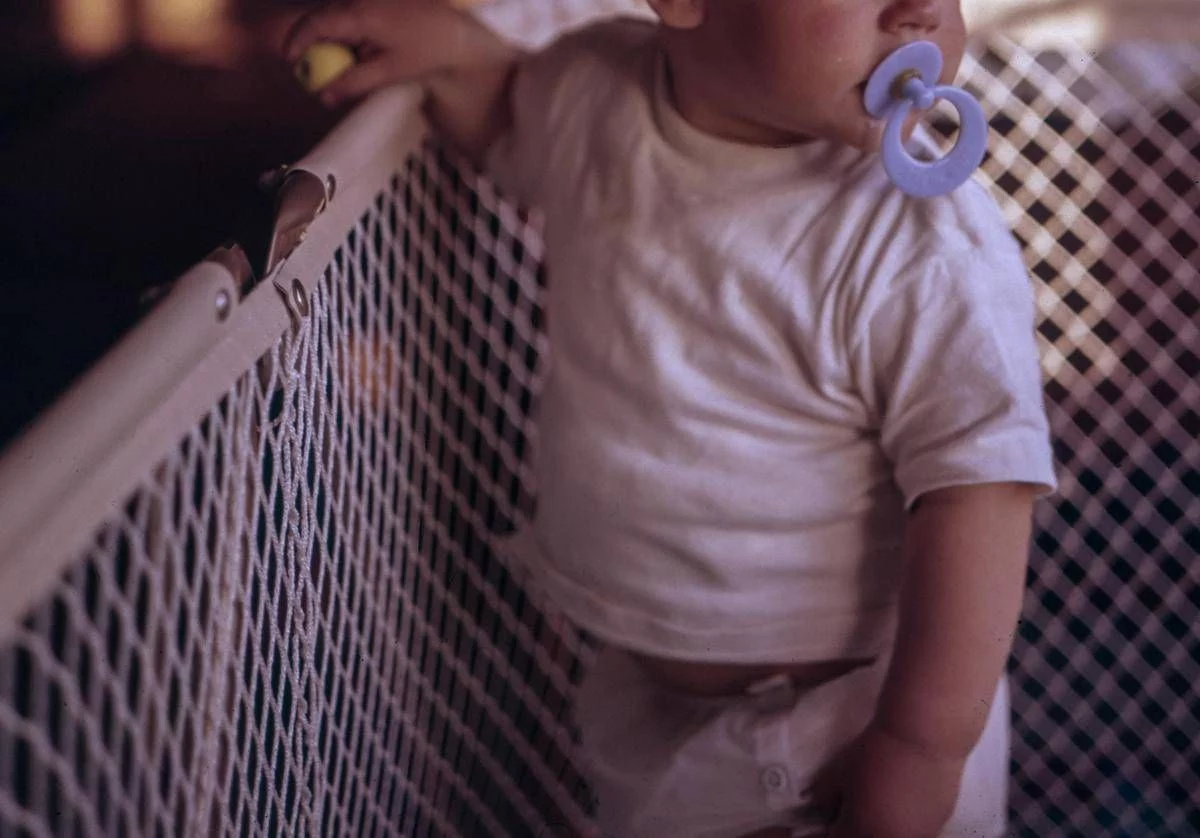 Italia 2026, cresce la popolazione straniera (soprattutto al Nord) e cala la natalità