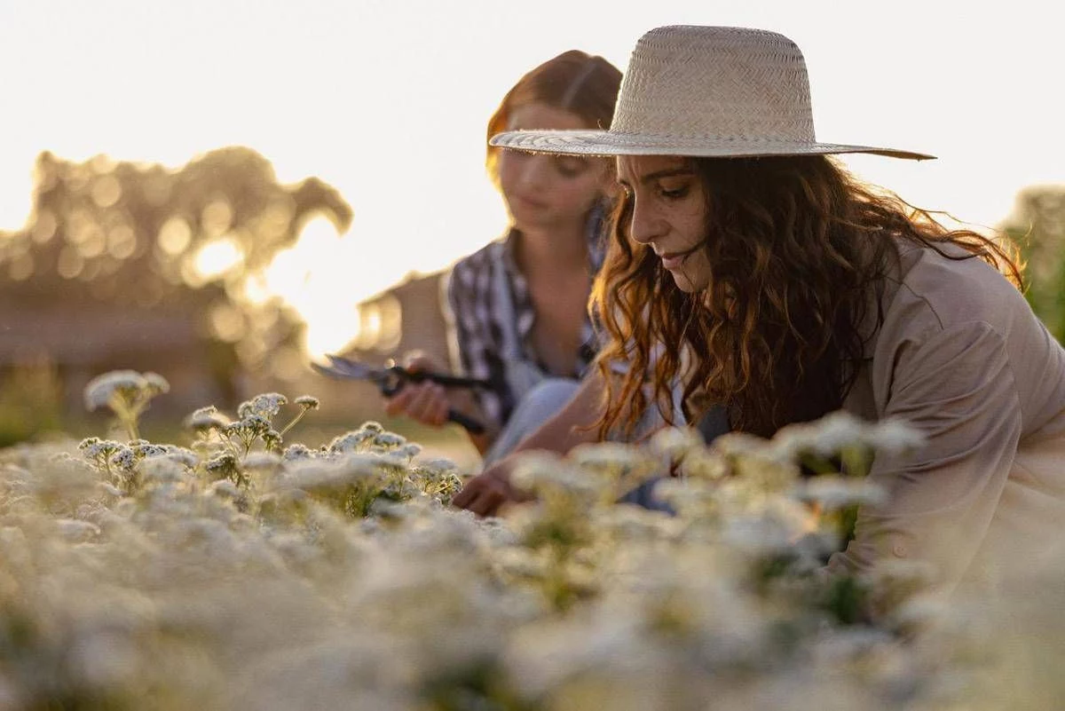 Sostenibilità, torna ‘The Good Farmer Award’: candidature aperte fino al 15 maggio