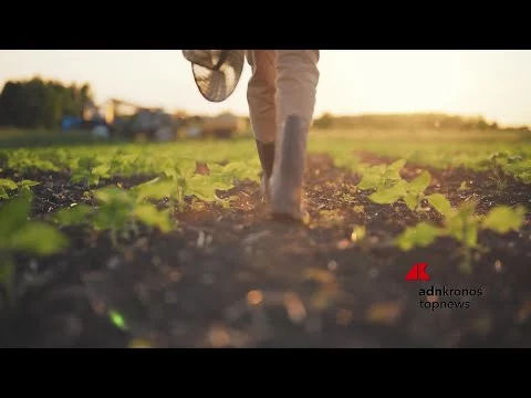 Agricoltura: presentato a Roma il Manifesto per il Biocontrollo, l’alleanza per il futuro delle
