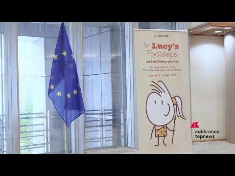 Alimenti: al Parlamente europeo l’incontro sul valore delle proteine animali