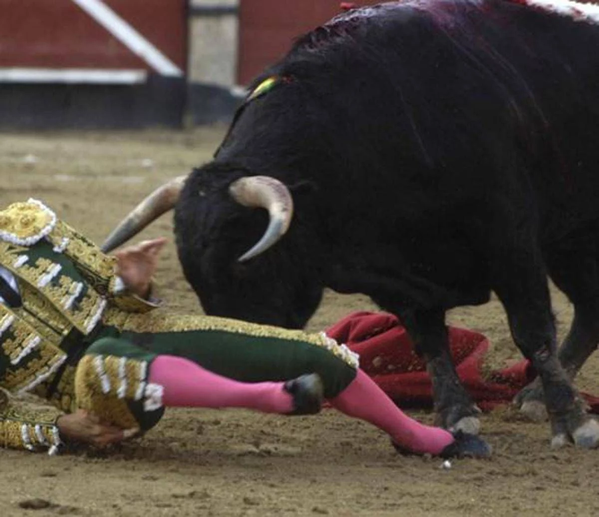 Il toro incorna e uccide il torero, lo choc in Spagna