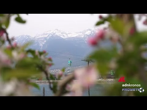 La fioritura in Trentino, magia di colori nelle valli delle mele