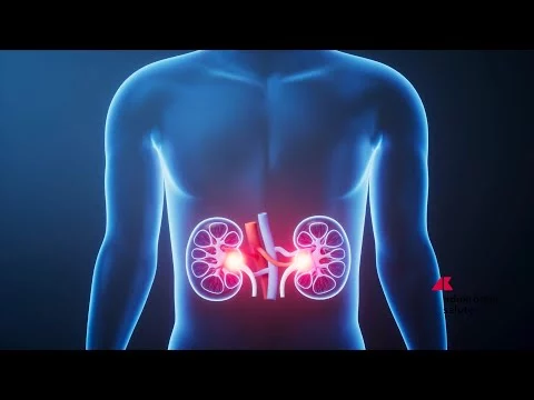 Malattie rare: glomerulopatia da C3, rimborso per iptacopan primo farmaco mirato