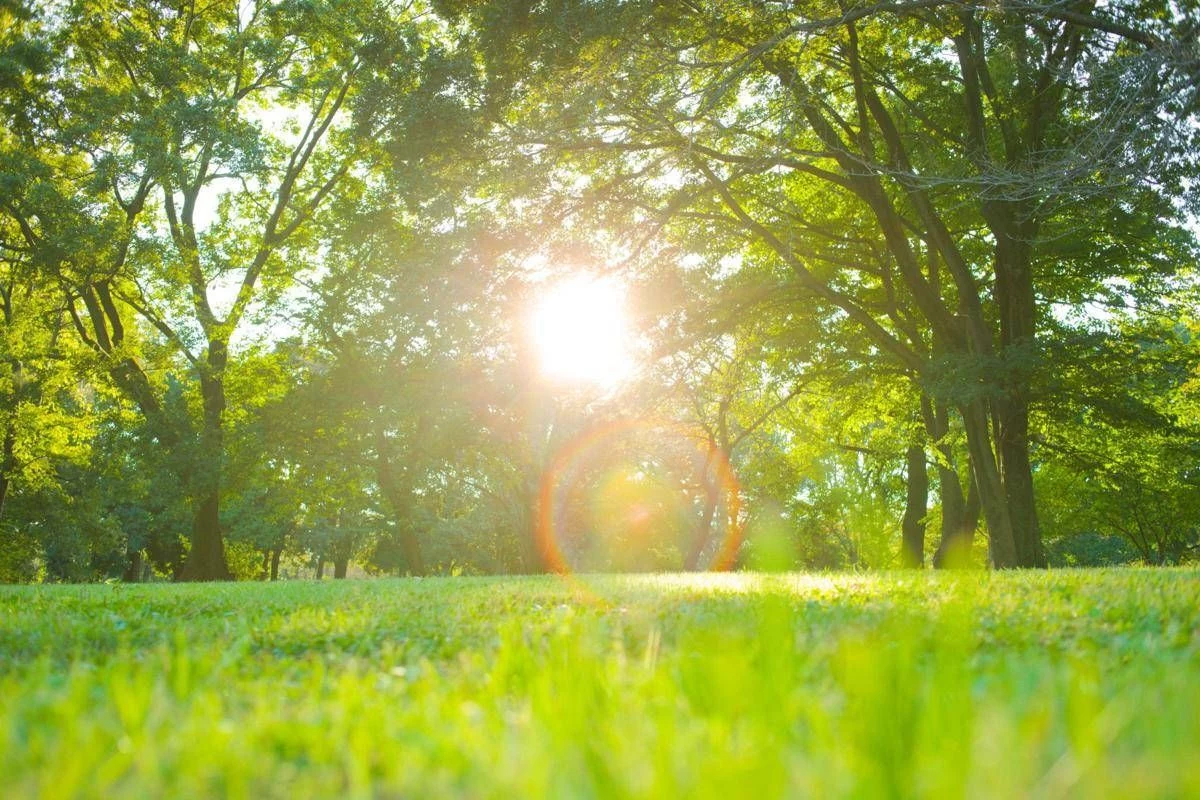 Meteo, svolta clamorosa: sole e 25°C a Pasqua e Pasquetta