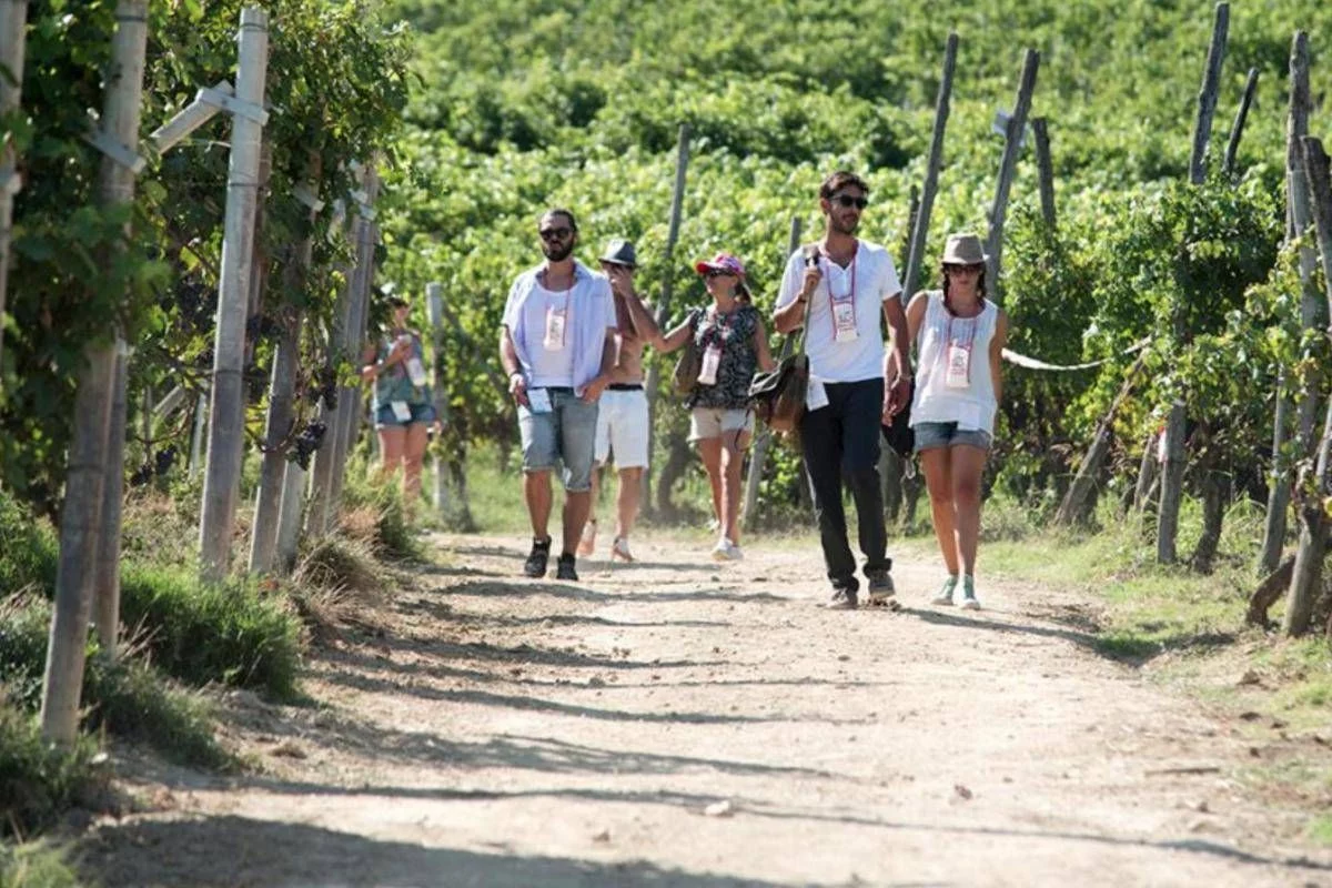 Turismo, UniCredit-Nomisma Wine Monitor: da quello del vino 3 miliardi di valore per cantine
