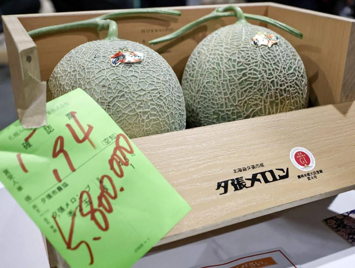 Due meloni venduti a 31mila euro, l’asta choc in Giappone per i frutti ‘d’oro’