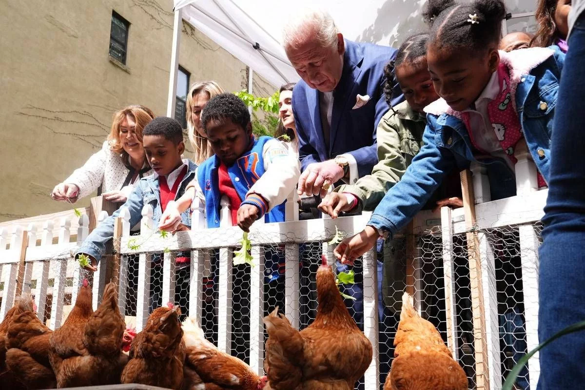 Reali e pollai, Carlo e Meghan: “I know my chickens”