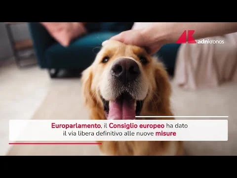 Tracciabilità di cani e gatti, via libera Consiglio europeo a nuove misure