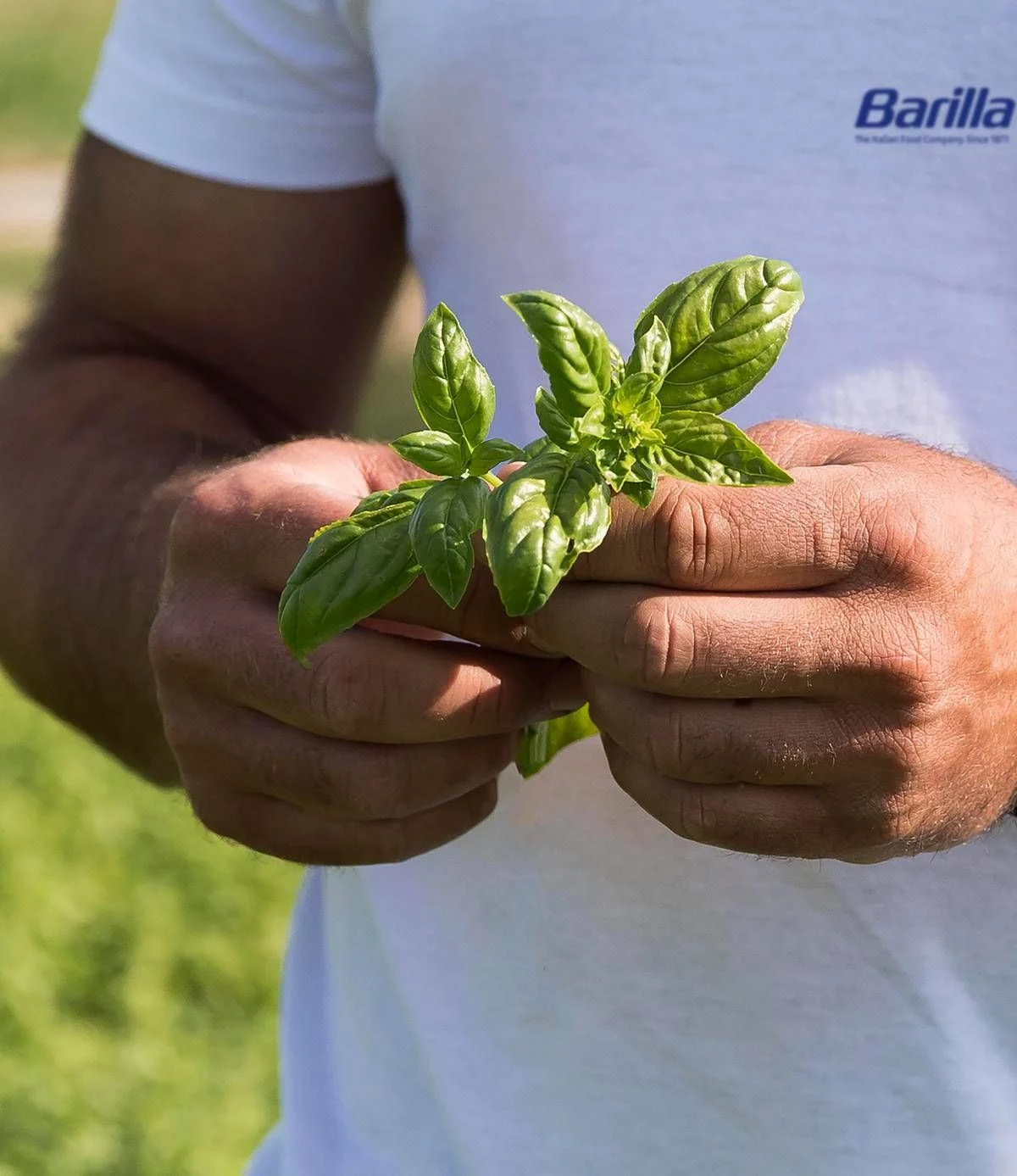 Barilla, nel Rapporto di Sostenibilità le ‘storie’ di un impegno a favore di ambiente e comunità