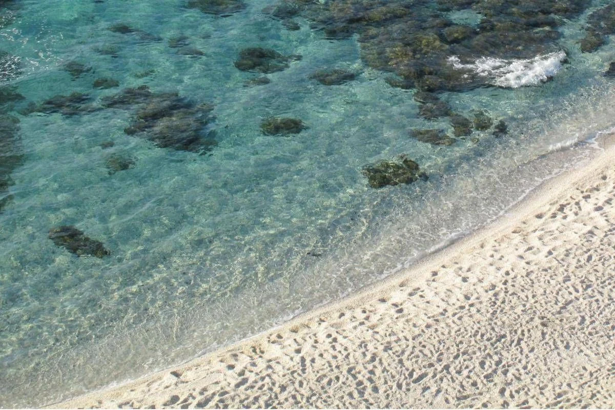 Niente ombrellone se hai tra 10 e 65 anni, il mondo guarda la Sardegna. E la regola divide turisti e ambientalisti