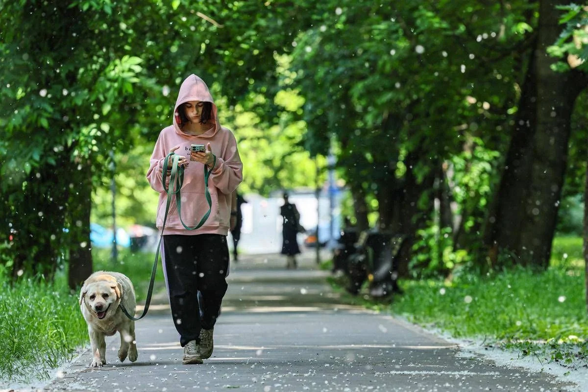 Obbligo di lavare la pipì del cane in strada, Bassetti: “Dal punto di vista scientifico non serve a nulla”