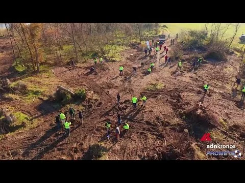 Quattro anni di Foresta Italia, 175mila piante messe a dimora
