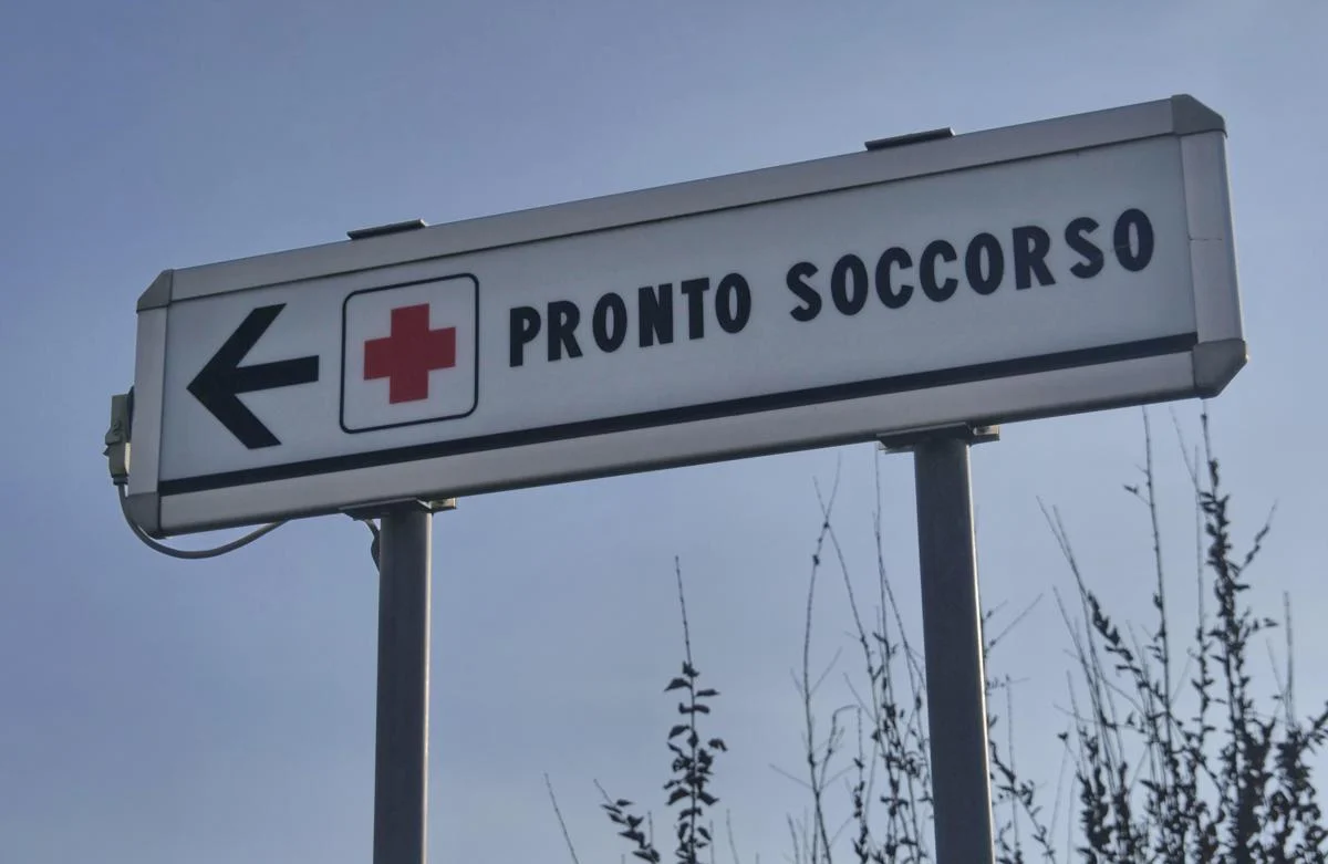 Morso di zecca e rischio encefalite, Bassetti: “Grave infezione virale, massima attenzione”