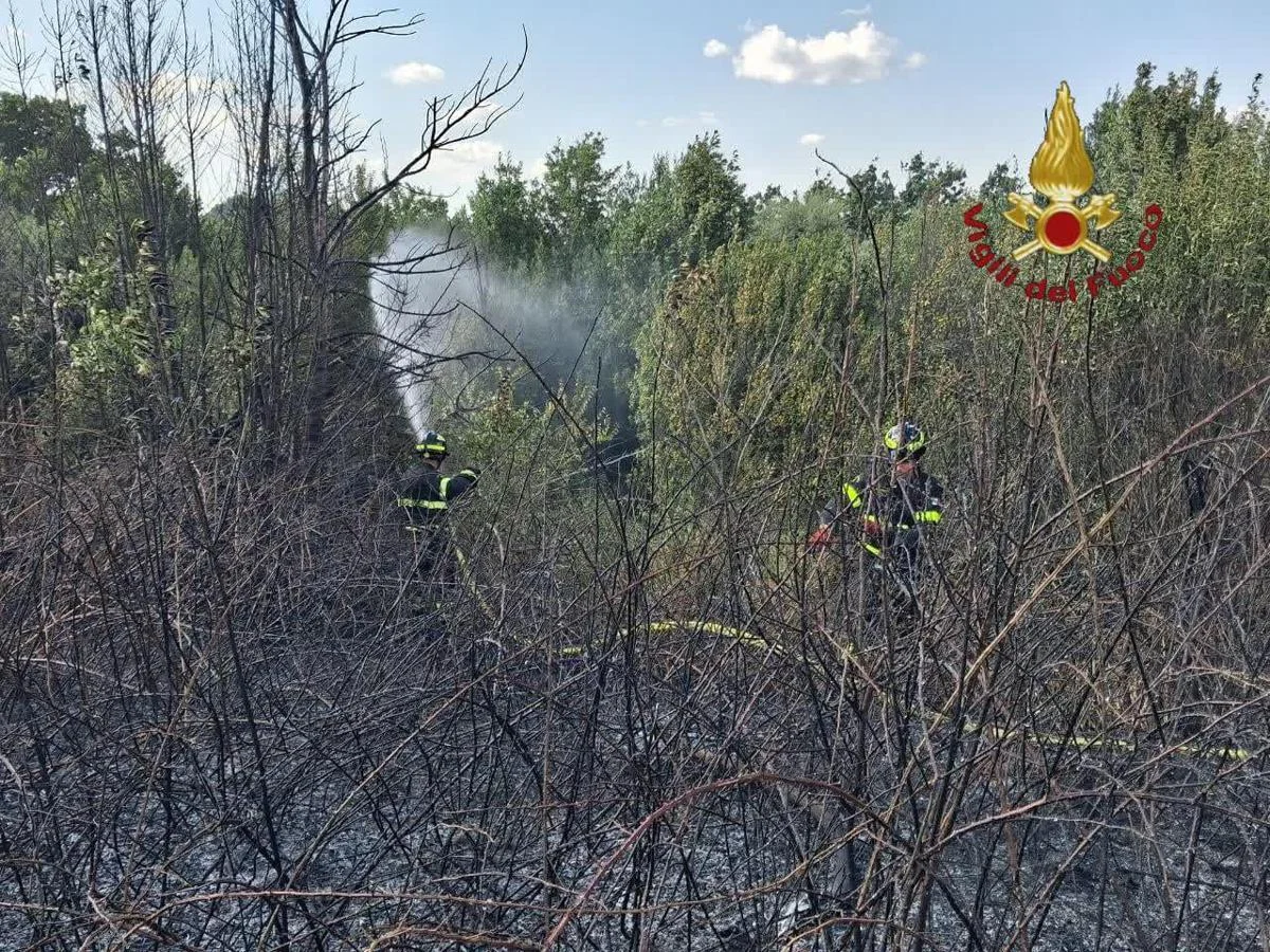 Roma, da via Pineta Sacchetti a Cinecittà: diversi incendi nella Capitale e dintorni