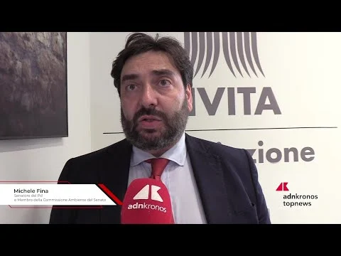 SAF, Fina (Pd): “Serve vera politica industriale”
